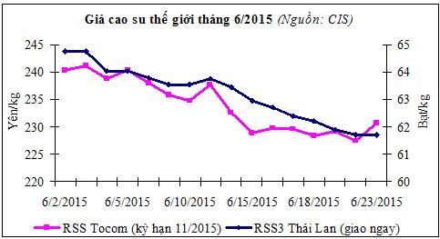 Báo cáo ngành hàng cao su tháng 6/2015
